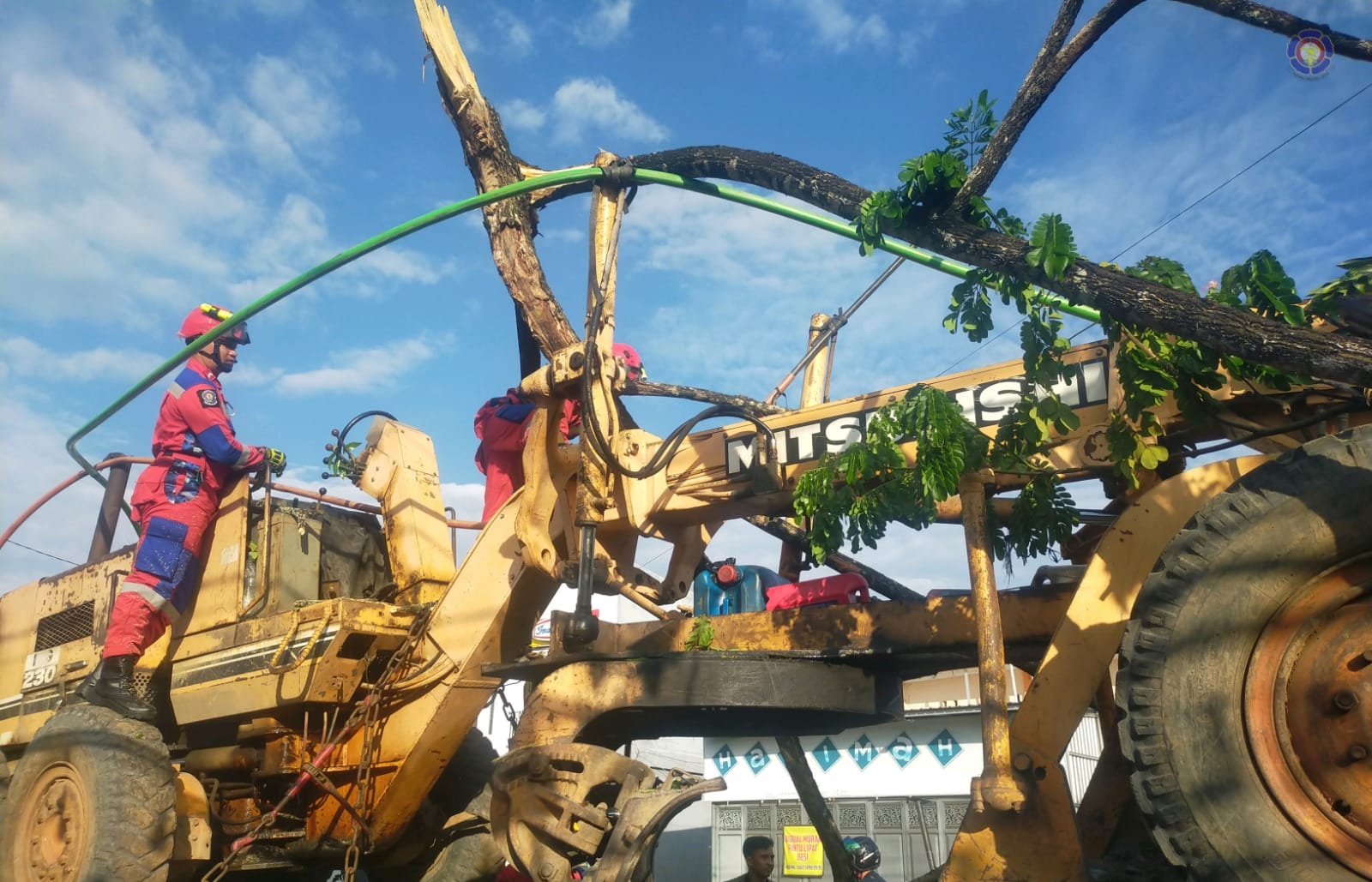 Pohon Tumbang di Jalan Veteran Sungai Dievakuasi Damkar Banjar