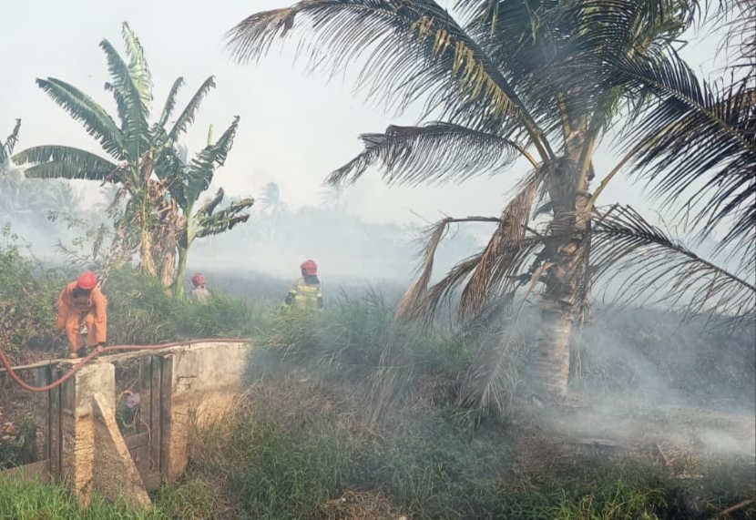 Damkar Banjar Tangani Kerhutla di Desa Tambak Sirang Laut