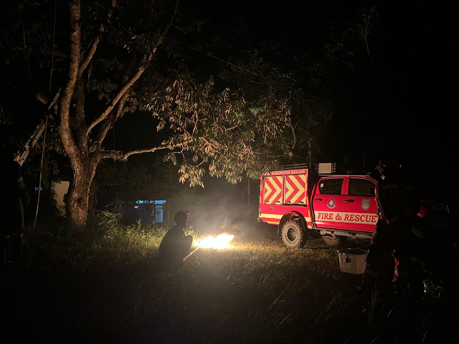 Dinas Damkar Banjar Tangani Lebah Madu di Awang Bangkal