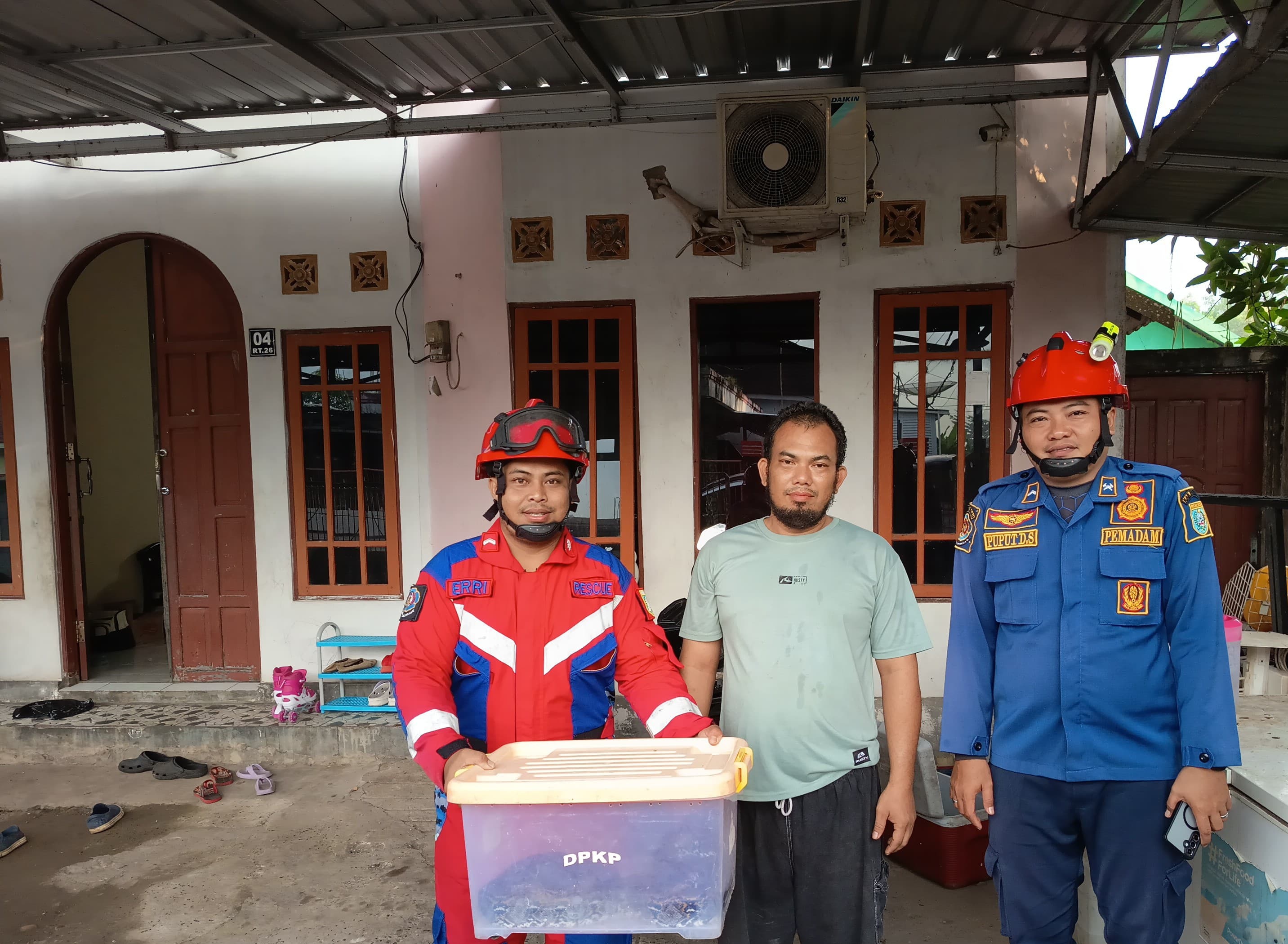 Dinas Damkar Evakuasi Ular di Komplek Ais Gambut
