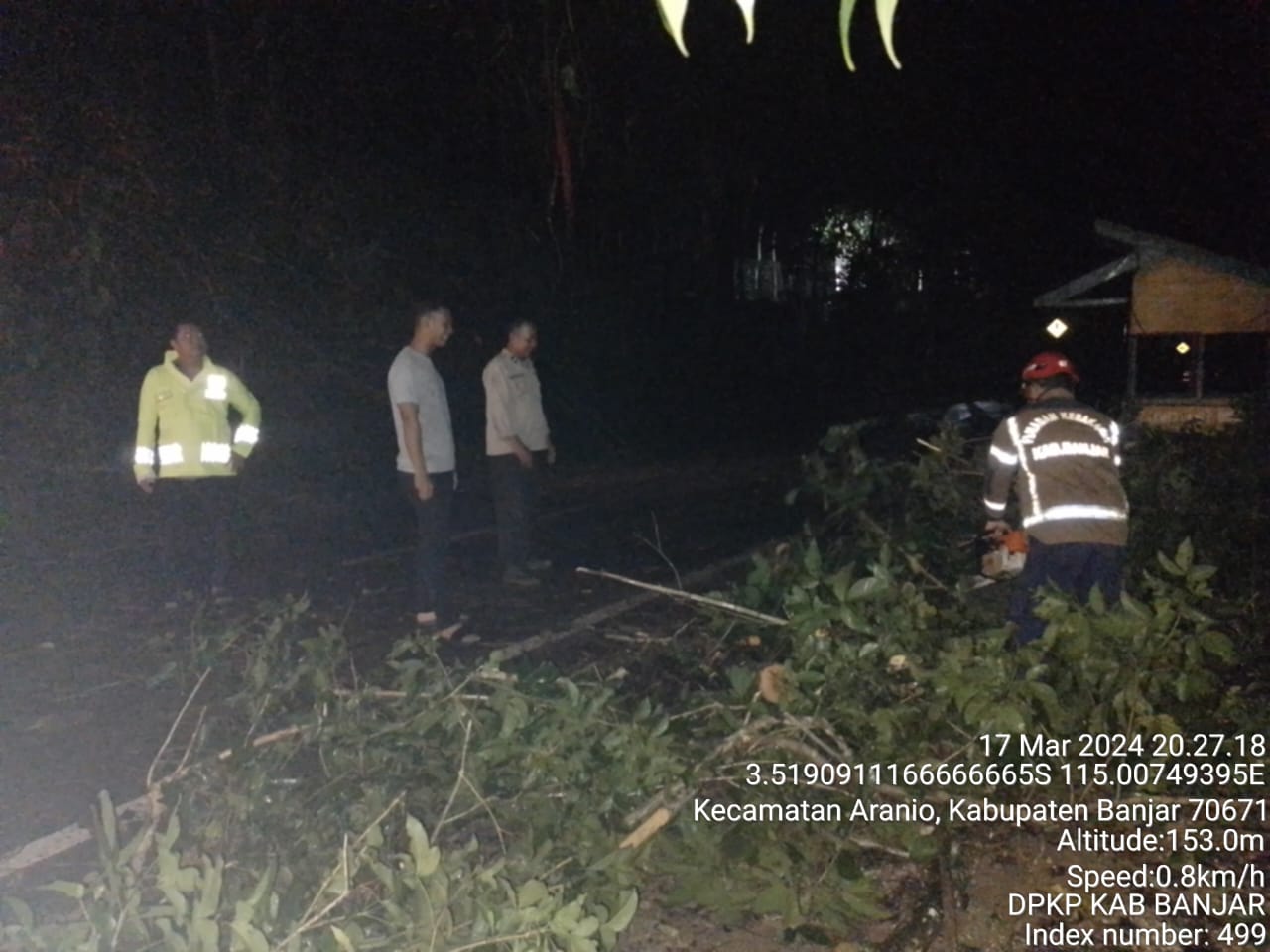 DPKP Banjar Evakuasi Pohon Tumbang di Tiwingan Lama