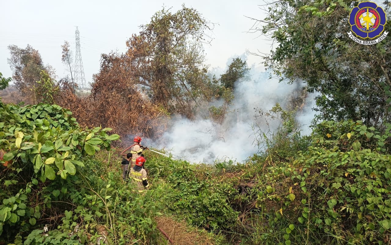 Damkar Banjar Tangani Kerhutla di Belakang SPBU KM 17 Gambut