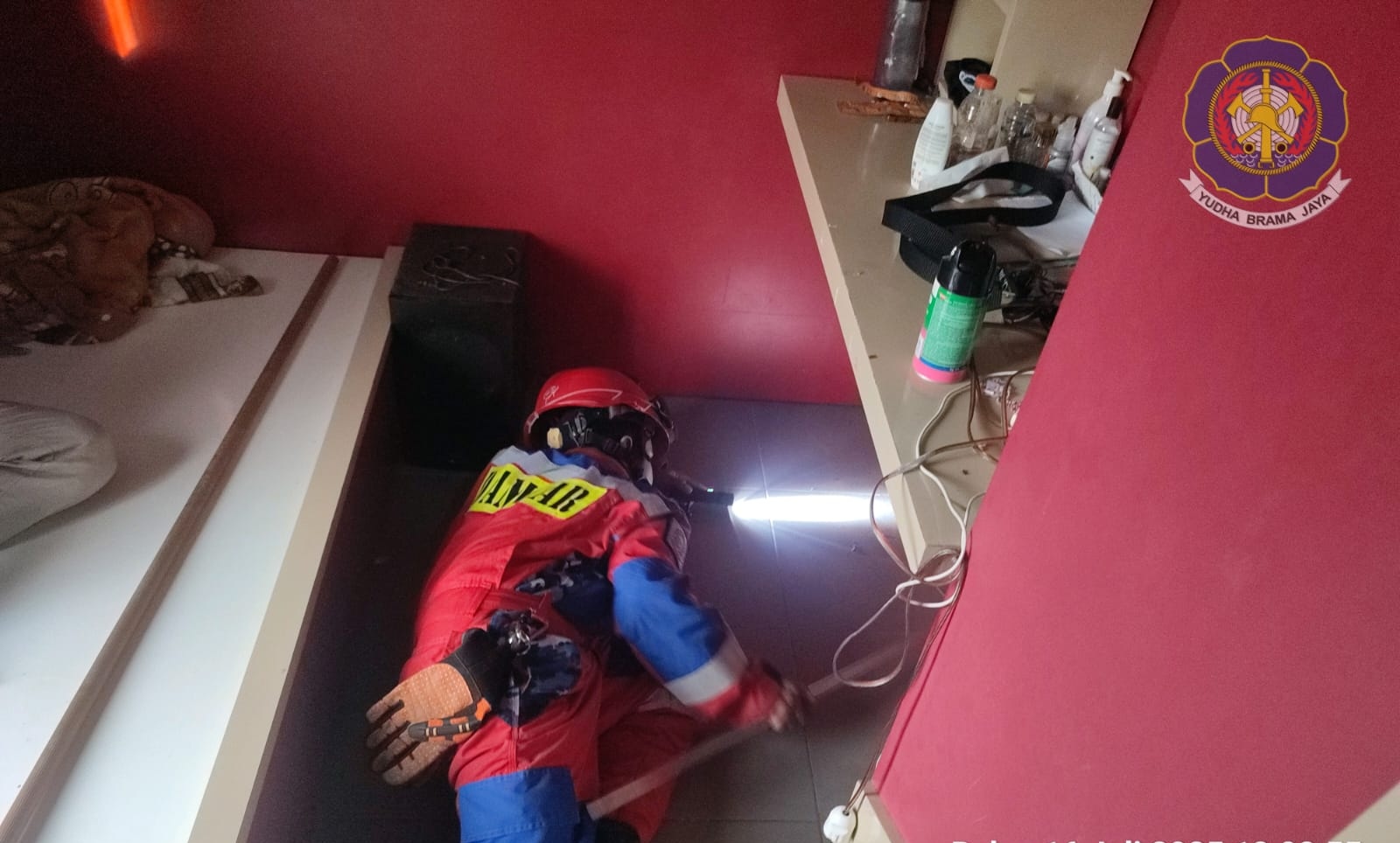 Bangun Tidur Ular Tali Picis Kagetkan Warga Kebun Serai
