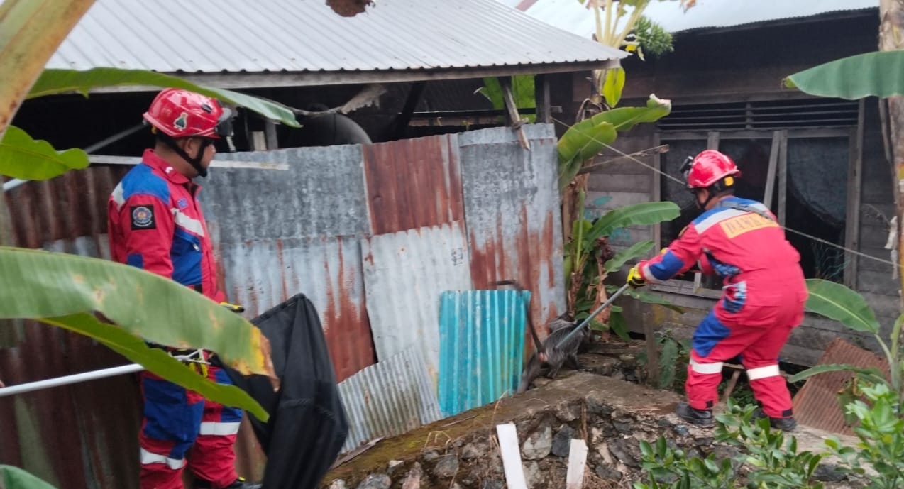 Damkar Banjar Amankan Monyet Liar di Permukiman Warga Desa Pasar Jati