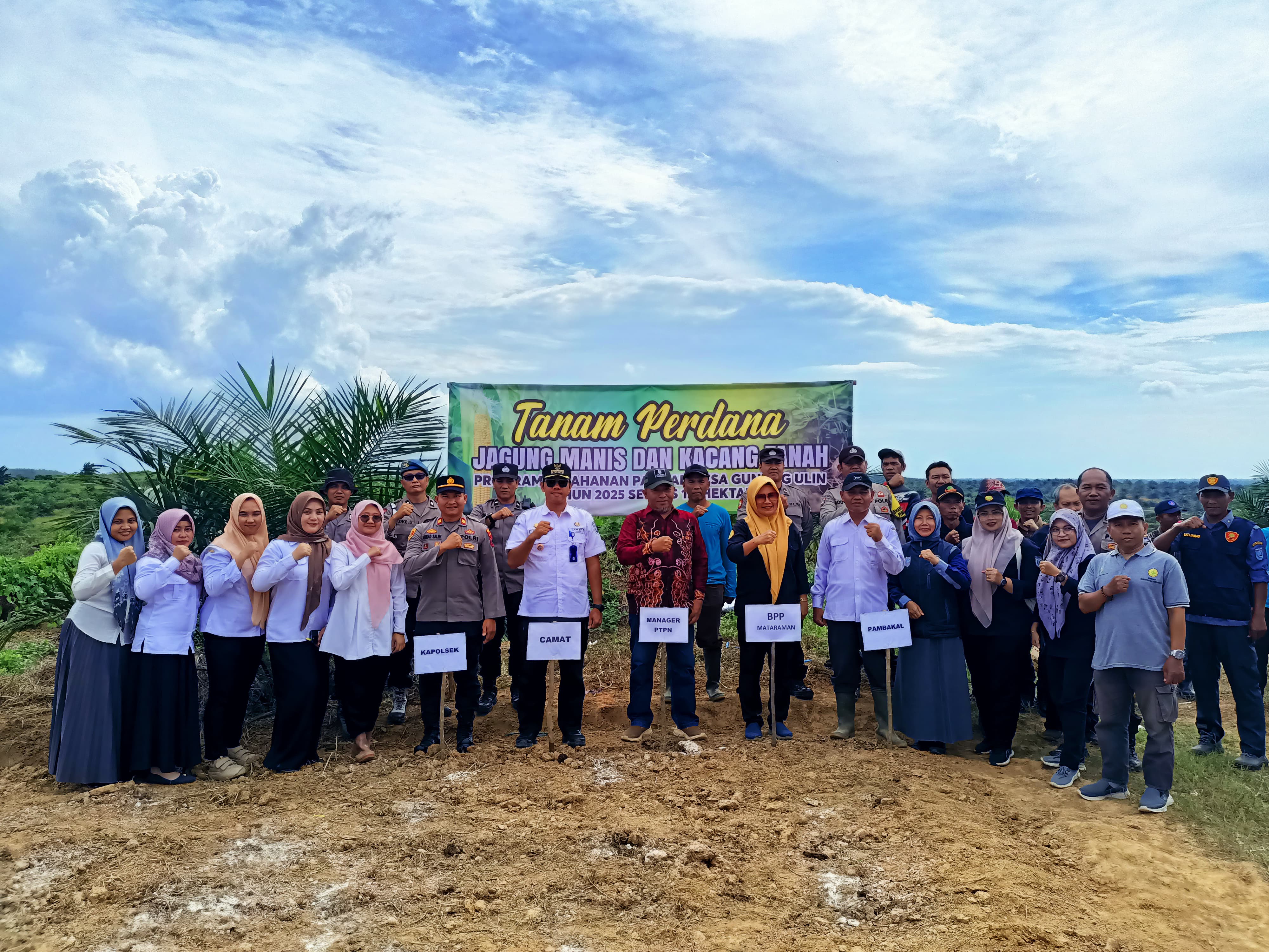 Tanam Perdana Jagung dan Kacang Tanah, Camat Mataraman Apresiasi Program Ketapang Desa Gunung Ulin