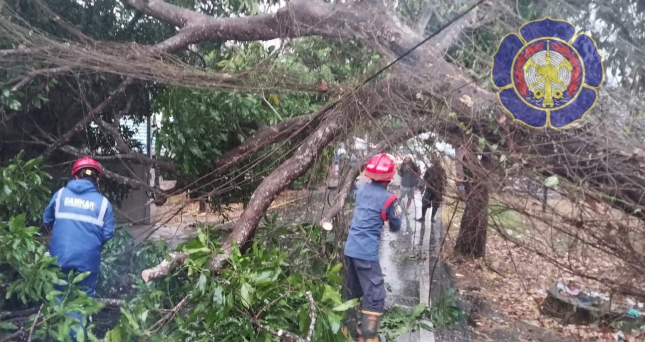 Damkar Banjar Tangani Pohon Tumbang