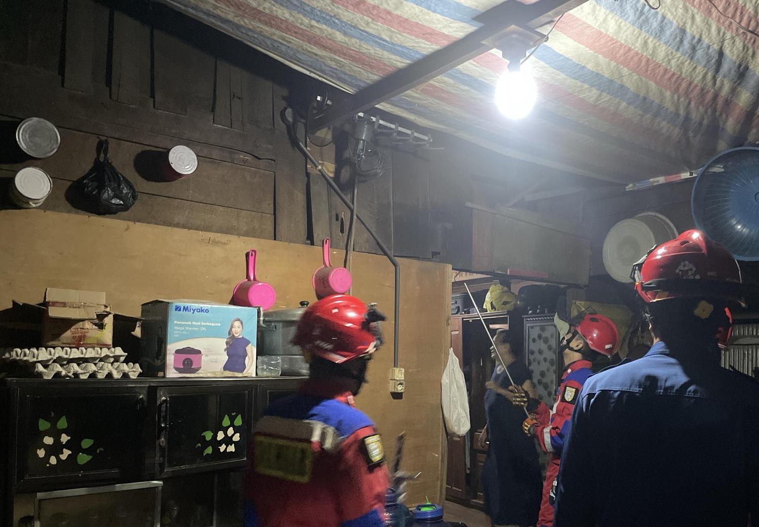 Saat Mau Buang Air Kecil, Ketemu Ular di Dapur