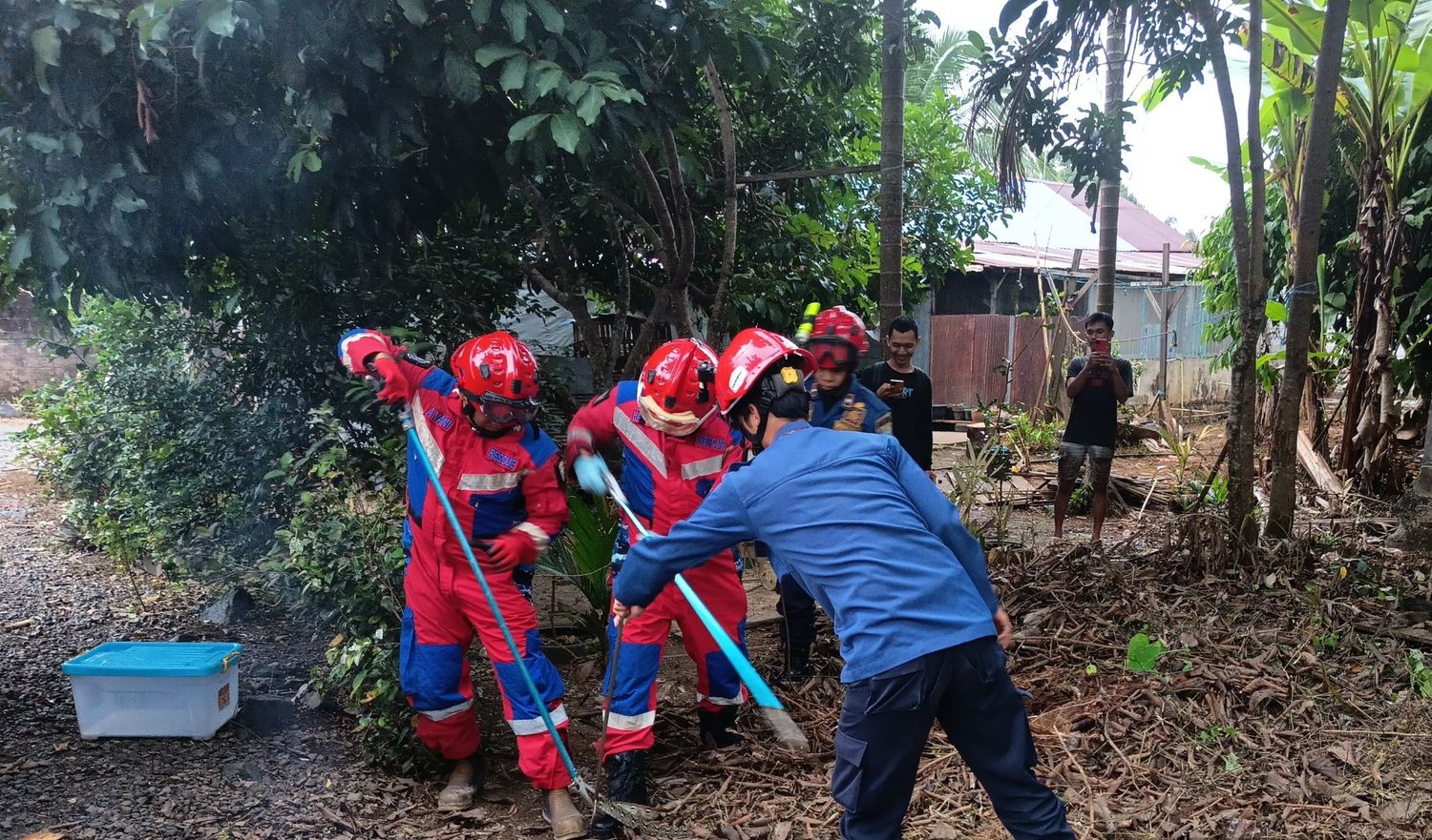 Damkar Amankan Ular Sanca Batik di Desa Padang Panjang