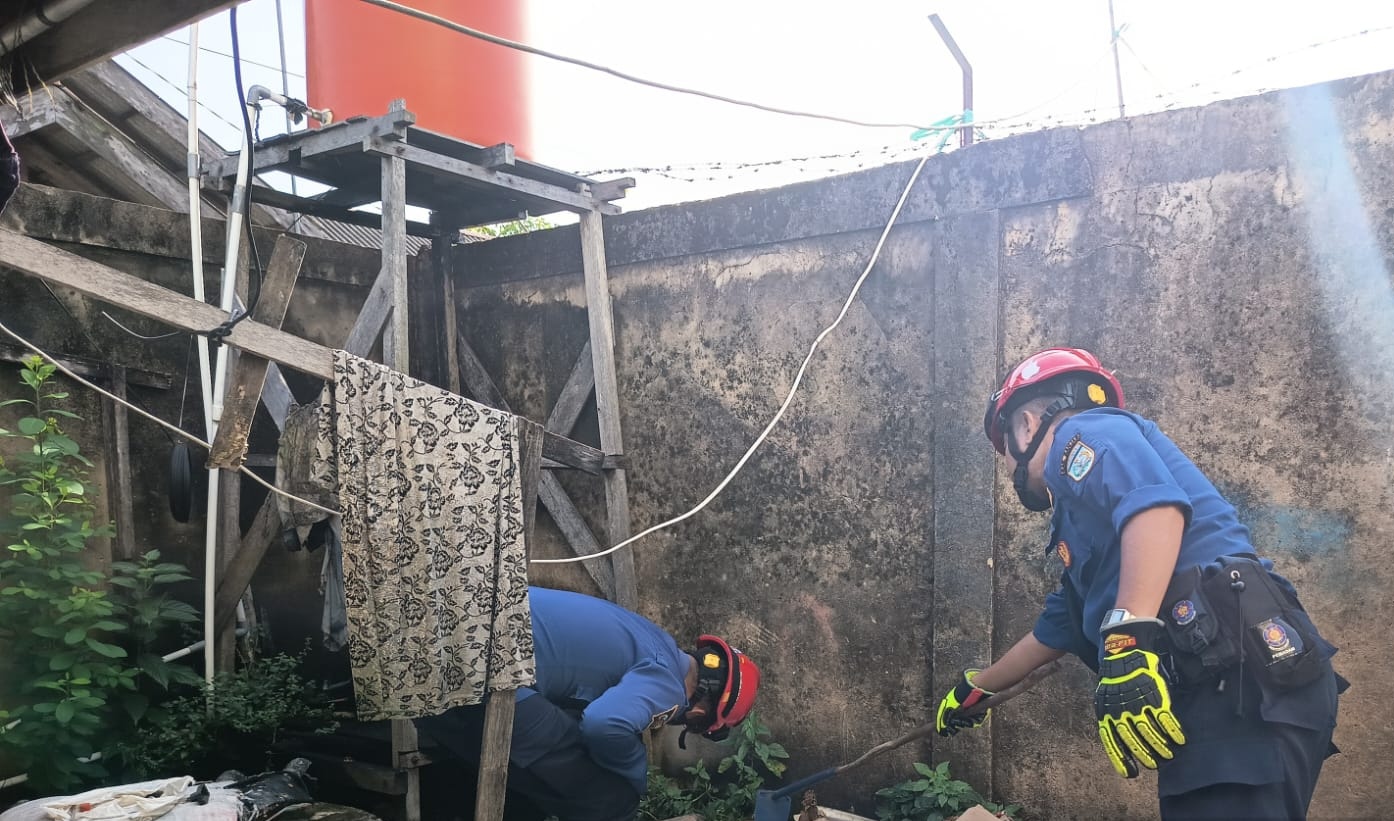 Sedang Asyik Membersihkan Halaman, Ular Datang Menghampiri