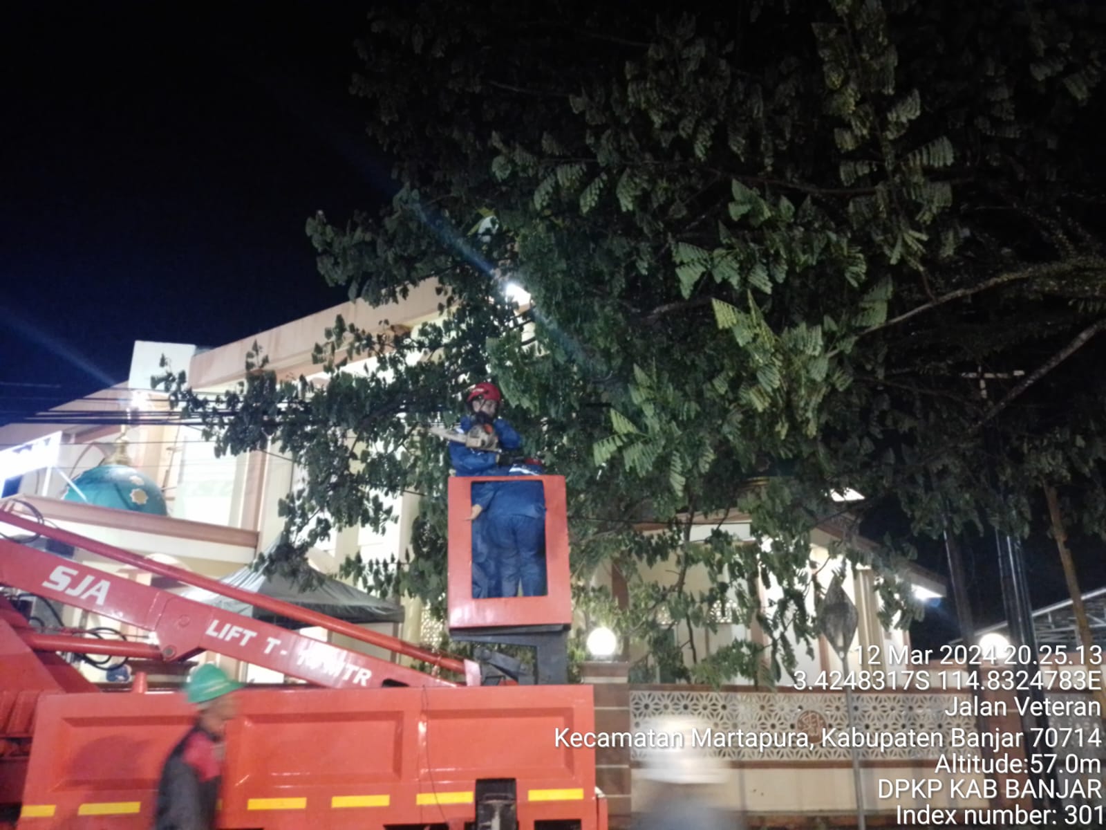 Sempat Ganggu Pengguna Jalan, Pohon Tumbang di Jalan Veteran Dievakuasi