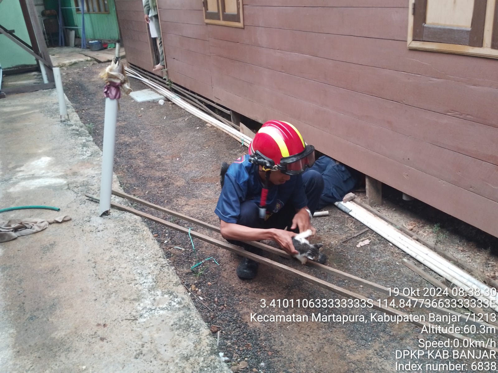 Petugas Damkar Banjar Evakuasi Kucing di Kolong Rumah