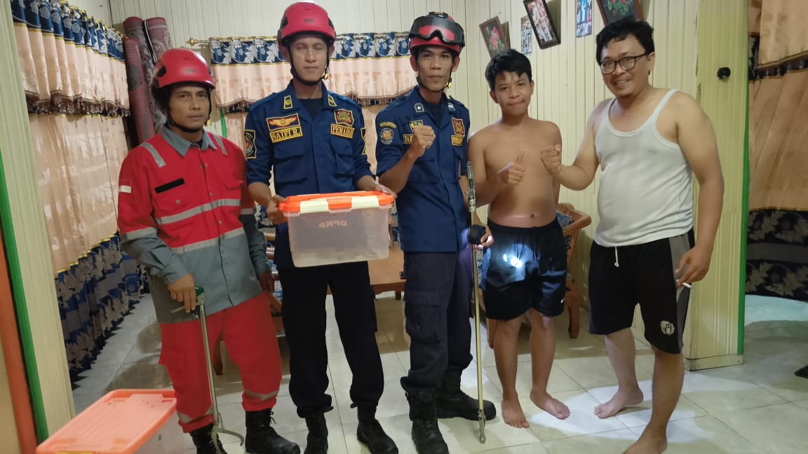 DPKP Banjar Sektor Gambut Amankan Ular di Tumpukan Padi