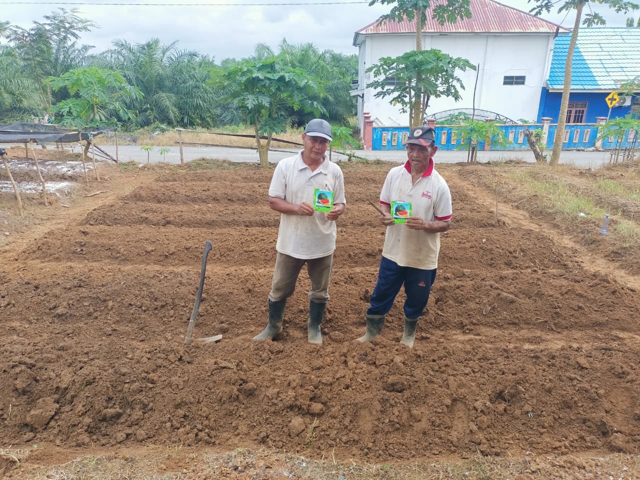 Pemerintah Desa Gunung Ulin Kembangkan Program Ketahanan Pangan Melalui Budidaya Semangka Non Biji