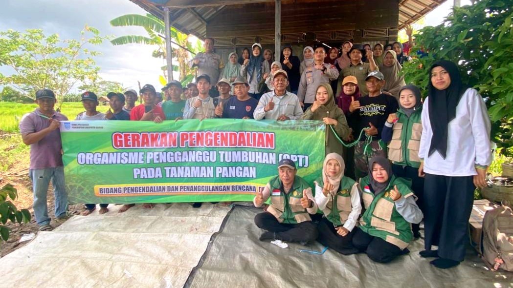 Distan Banjar dan Petani Desa Sungai Alat Kompak Basmi Hama Tikus